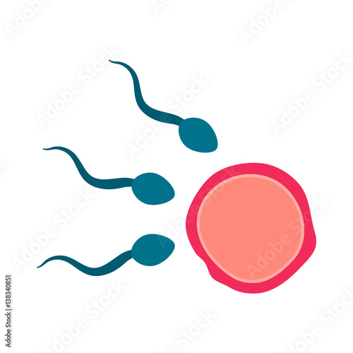 egg and sperm flat icon