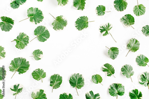 Frame wreath of green leaves on white background, Flat lay, top view. Flower background.