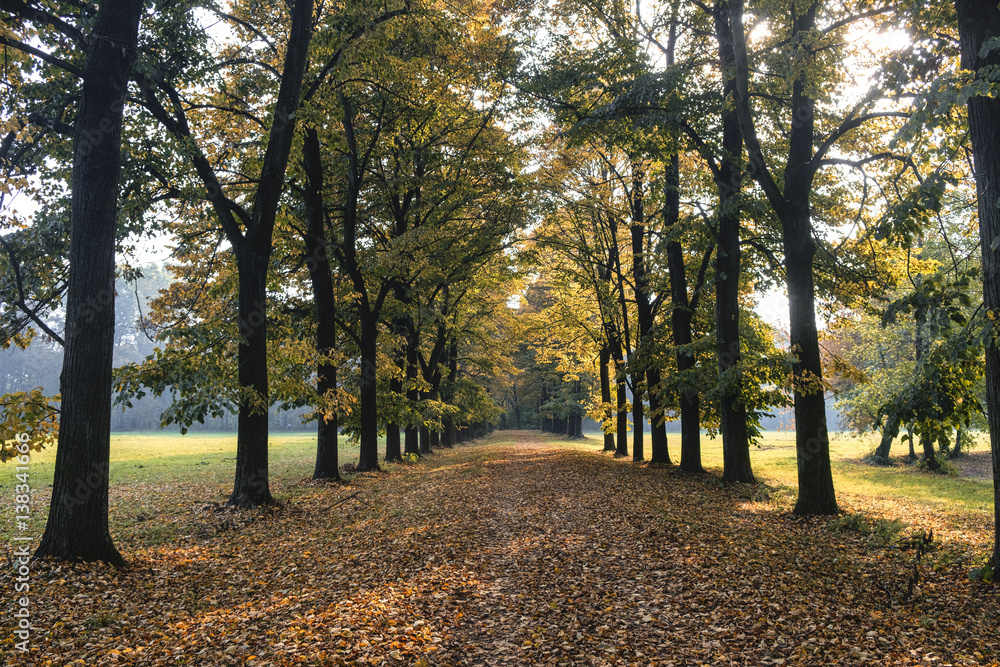 Monza (Italy):  the park at fall
