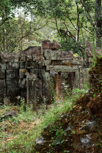 Fototapeta Naklejka Na Ścianę i Meble -  ruins in the forest
