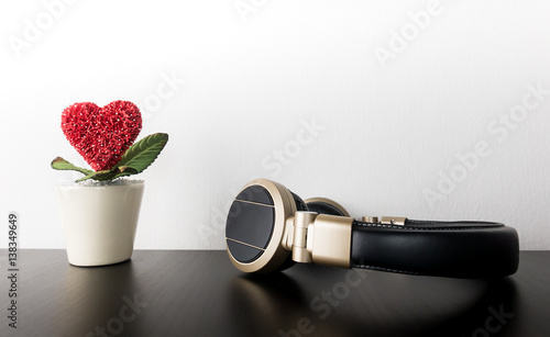 Love Red heart flower pot with headphone for love music photo