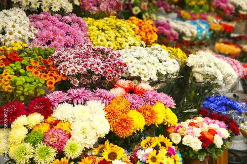 Plenty of colorful flowers in flower shop
