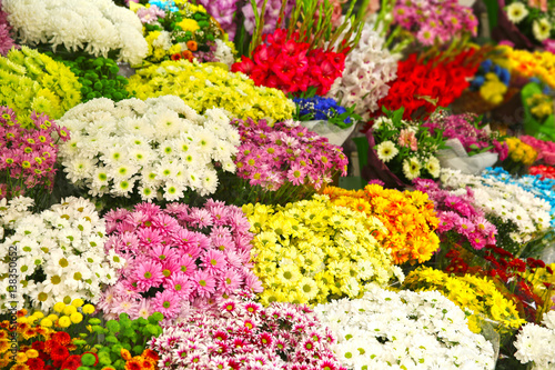 Plenty of colorful flowers in flower shop