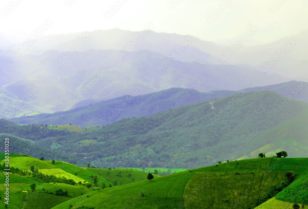 Fototapeta premium A rice field that made on a hill by countryside people with them tradition cultural