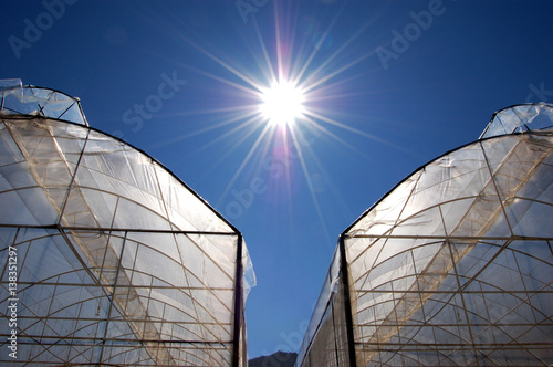 Green house