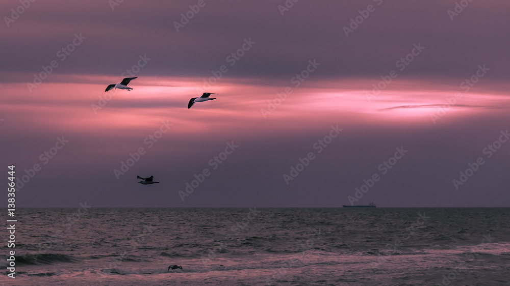 sunset on the sea