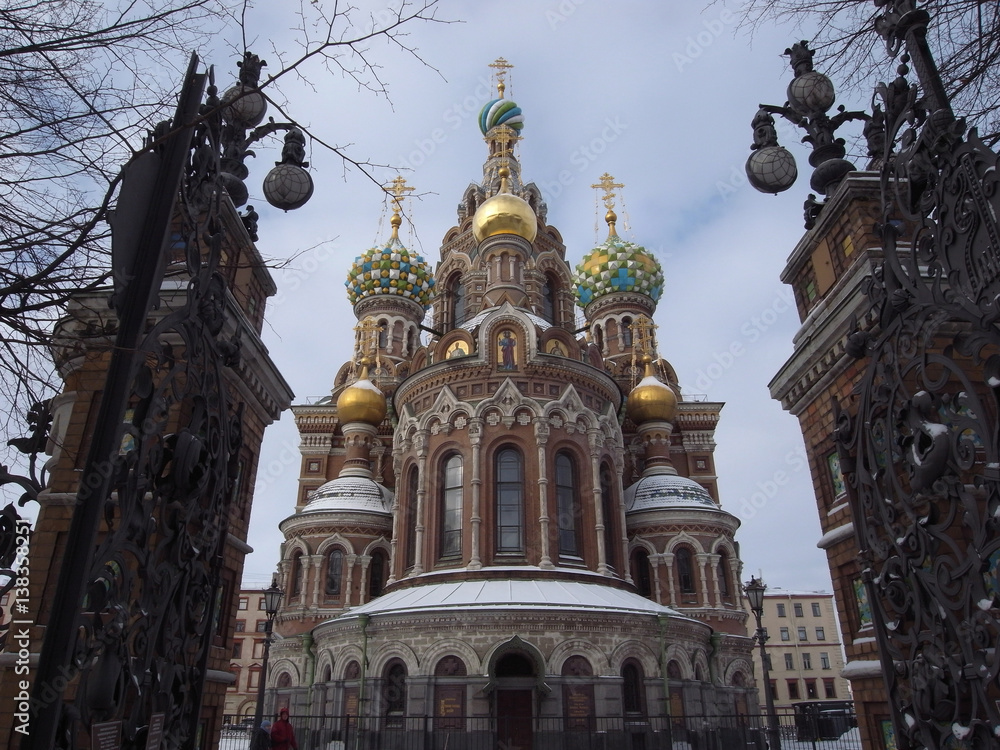 Church of the Savior on Spilled Blood. Beautiful domes against the blue sky: framed by tree branches. St. Petersburg.