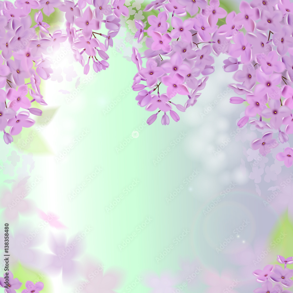 Spring background with pink and purple flowers of lilac flowers. Can be used for background, wallpaper, greeting card web banner. Spring background with pink and purple flowers of lilac flowers. Can be used for background, wallpaper, greeting card web banner.