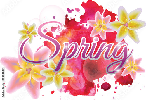 Fototapeta Naklejka Na Ścianę i Meble -  Colorful spring background. Flowers and watercolor blots.