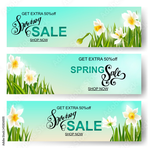 Vector spring nature background, daffodil flowers.