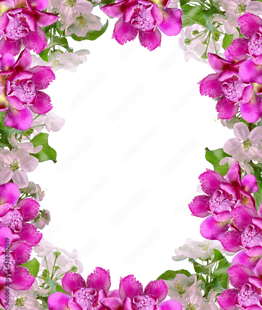 Bright and colorful flowers of apple and peony. Bright and colorful flowers of apple and peony.