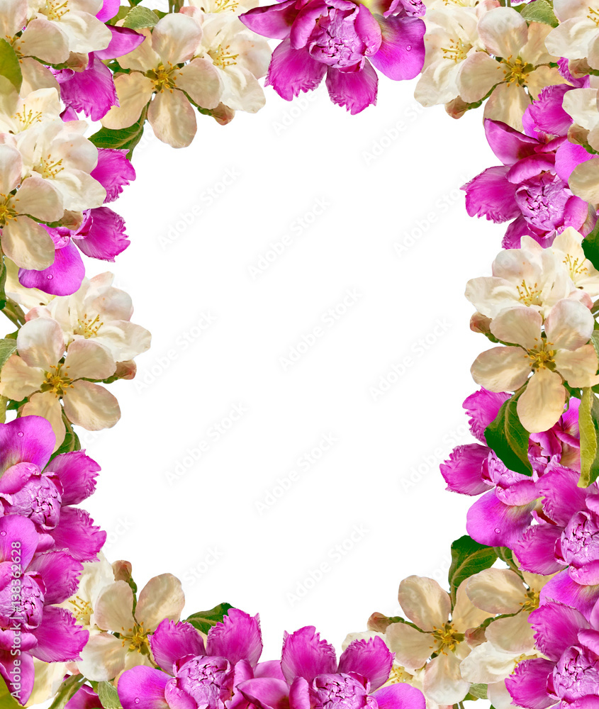 Bright and colorful flowers of apple and peony. Bright and colorful flowers of apple and peony.