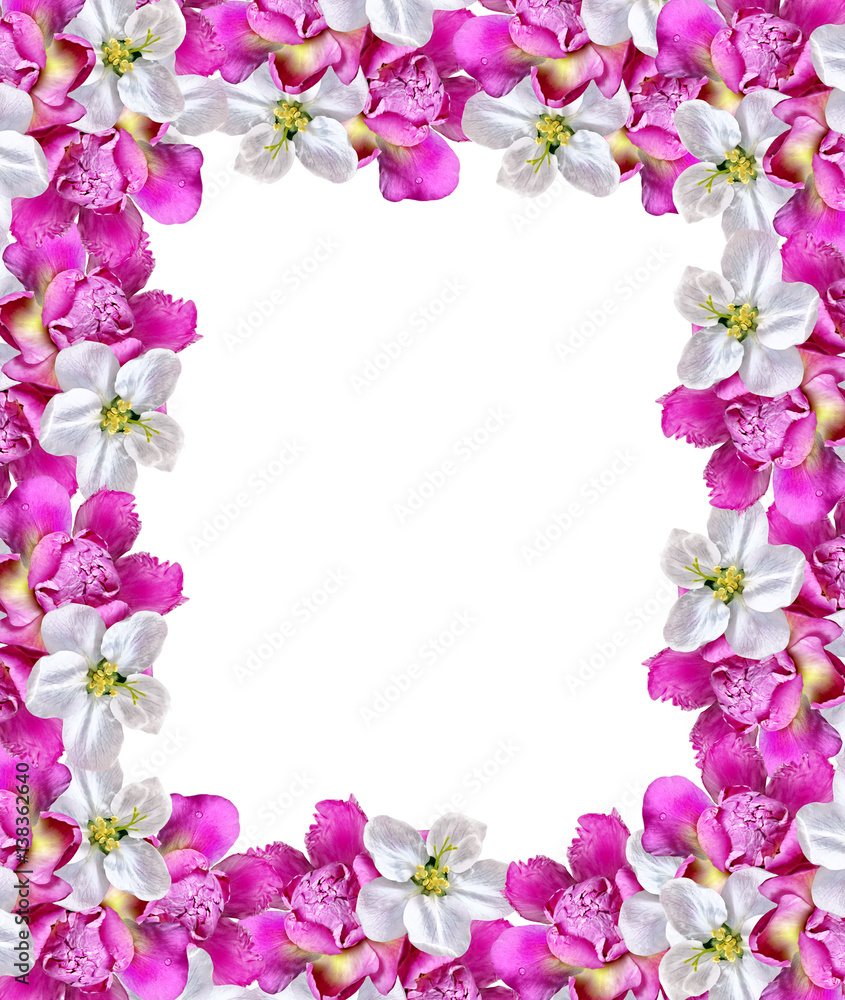 Bright and colorful flowers of apple and peony. Bright and colorful flowers of apple and peony.