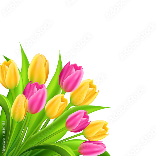 Spring background with colorful tulips bouquet isolated on white background. Vector illustration.