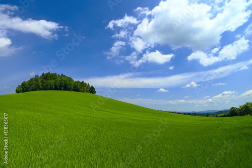 Green fields and woods on the hill.