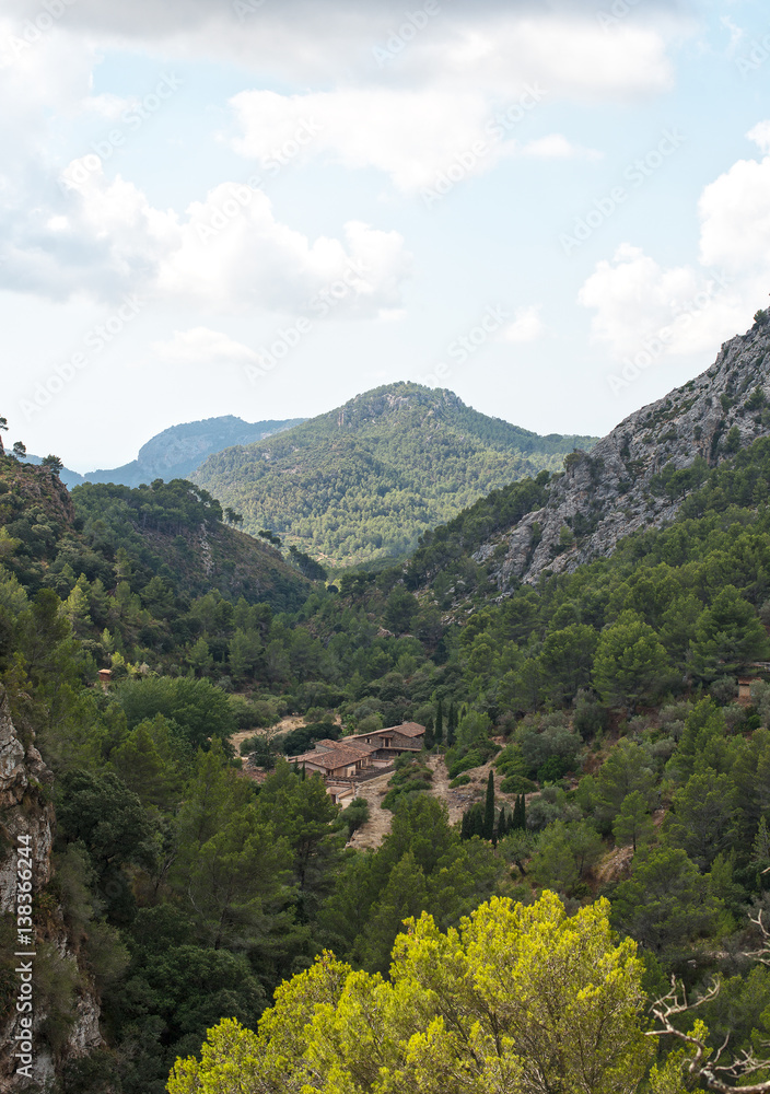 Beautiful gorge in the mountains.