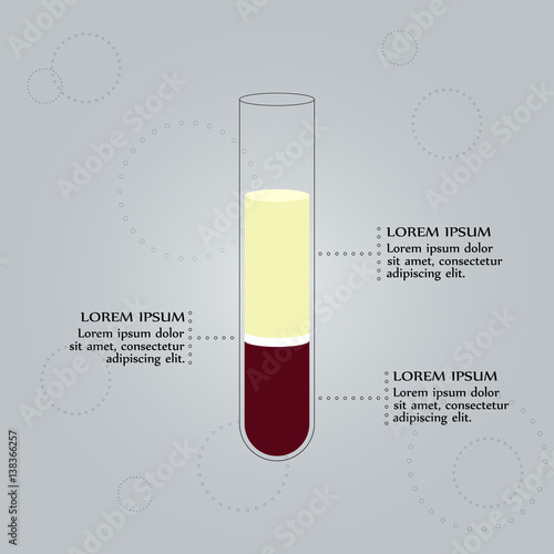 Composition of blood