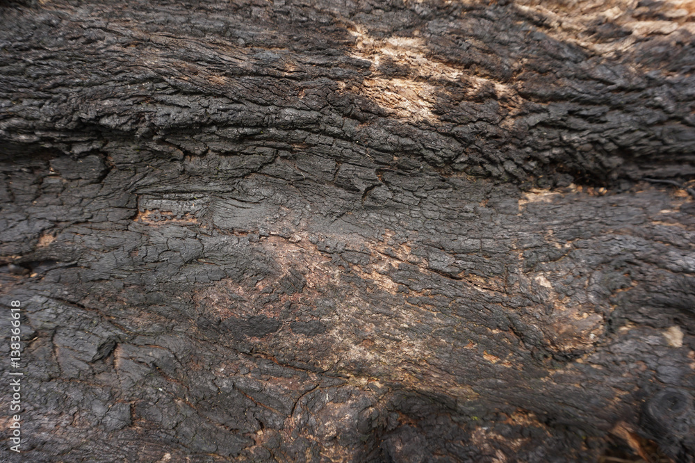 burning wood texture burning wood texture