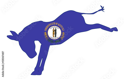 Kentucky Democrat Donkey Flag