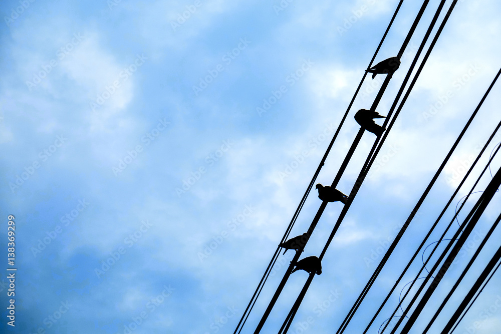 Many birds on electric wires against a blue sky with clouds background Many birds on electric wires against a blue sky with clouds background