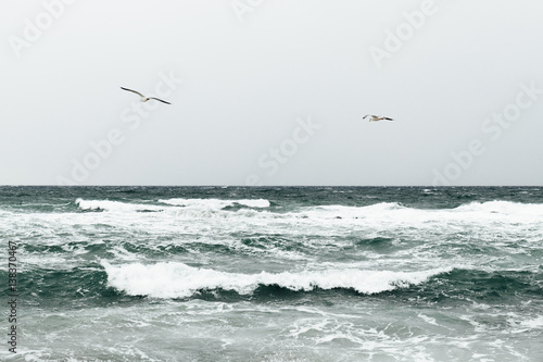 Two seagulls flying over the waves, minimalist seascape