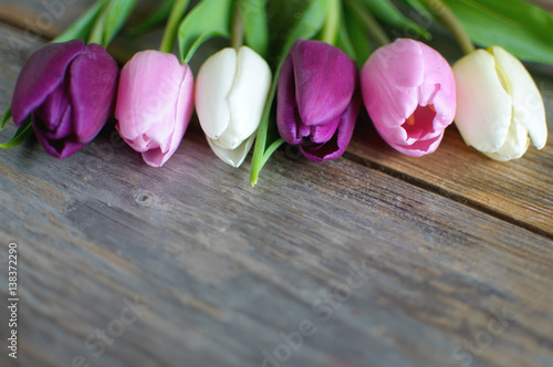 Tulips on wooden background
