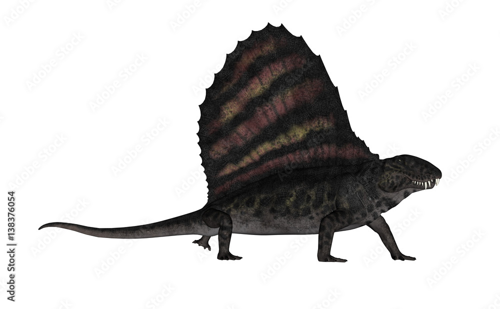 Fototapeta premium Dimetrodon dinosaur - 3D render