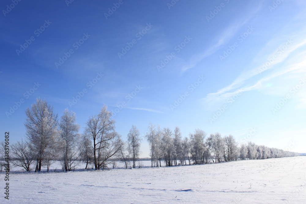 Winter Winter