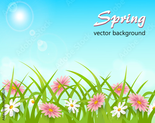 Spring landscape with flowers in the sun