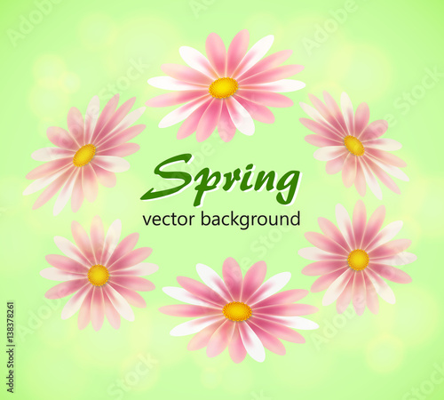 Spring background with daisies