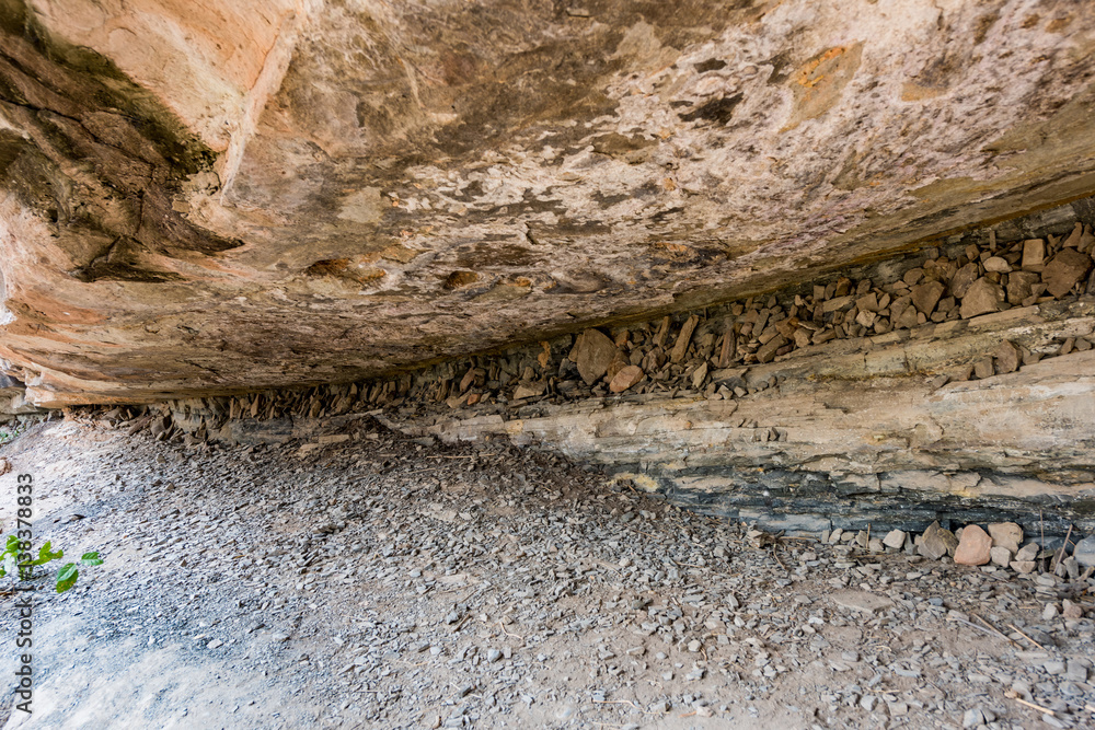 Pha Taem Cliff National Park, Ubon Ratchathani, Thailand