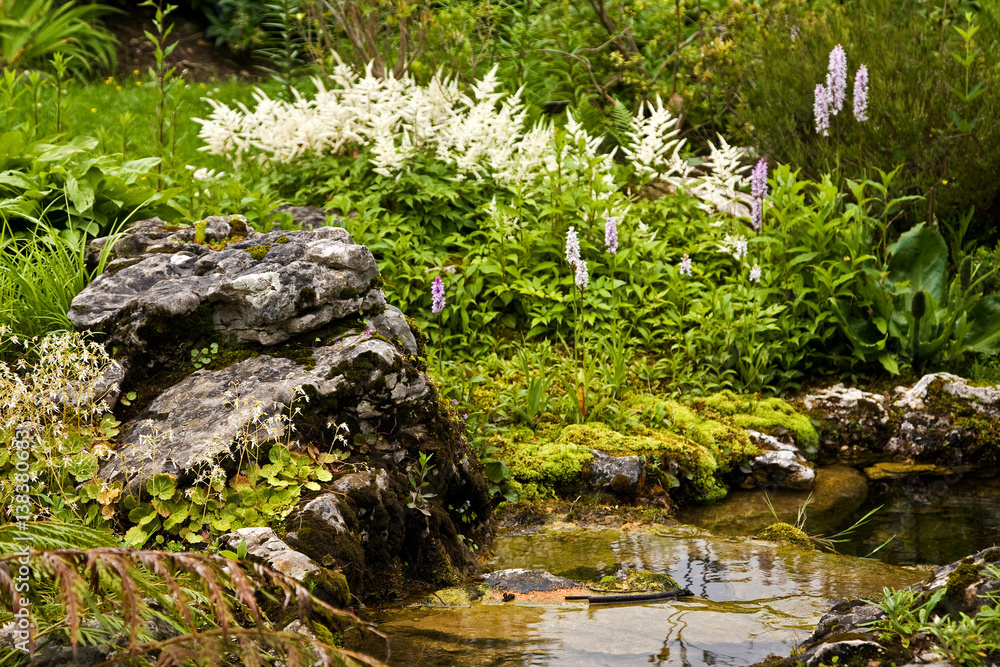 White and purple flowers with stream in botanical garden, Geneva, Switzerland White and purple flowers with stream in botanical garden, Geneva, Switzerland