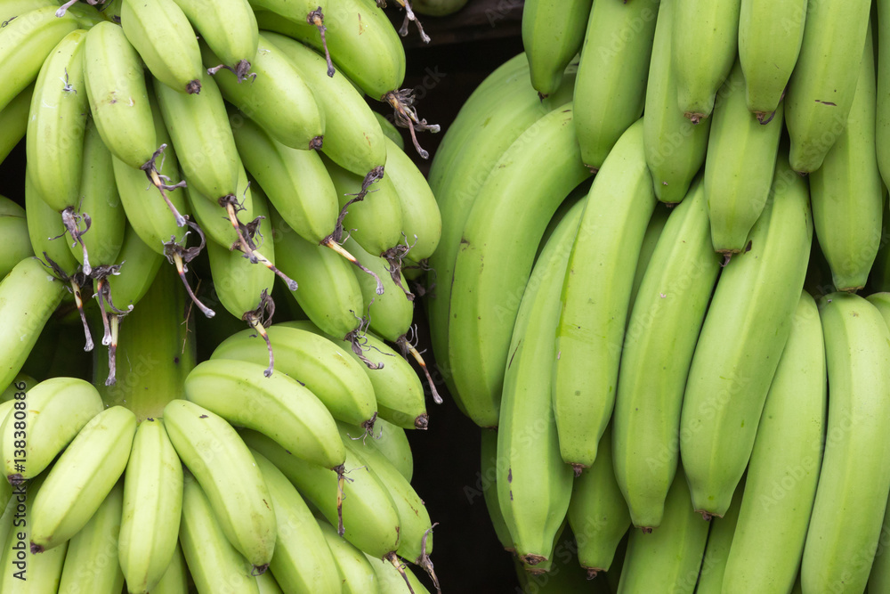different types of green bananas
