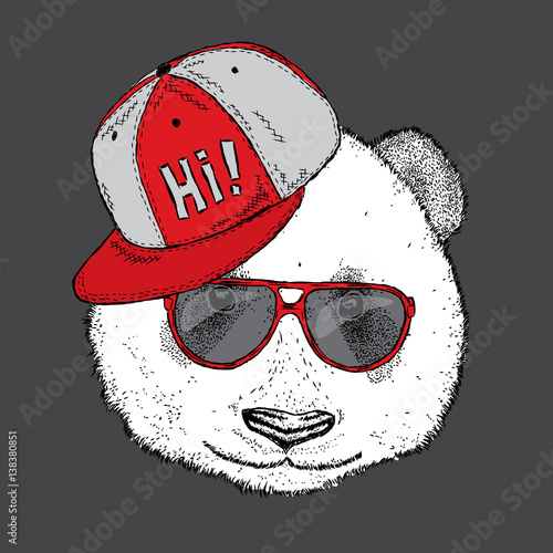 Fototapeta Naklejka Na Ścianę i Meble -  Beautiful Panda with glasses and a cap. Vector illustration.