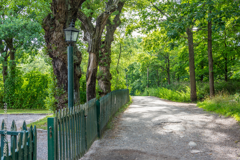 Φωτογραφία Långholmen är som en stor park med sina stora härliga ekar, amfiteater och natur