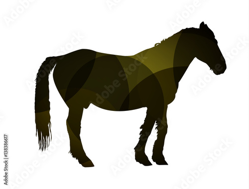 Silhouette of horse in profile with abstract background.