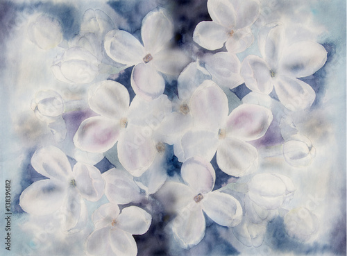 Flowers white lilac - watercolor. Use printed materials, signs, items, websites, maps, posters, postcards, packaging.
