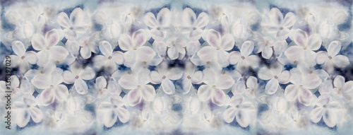 Flowers white lilac - watercolor.  Use printed materials, signs, items, websites, maps, posters, postcards, packaging.