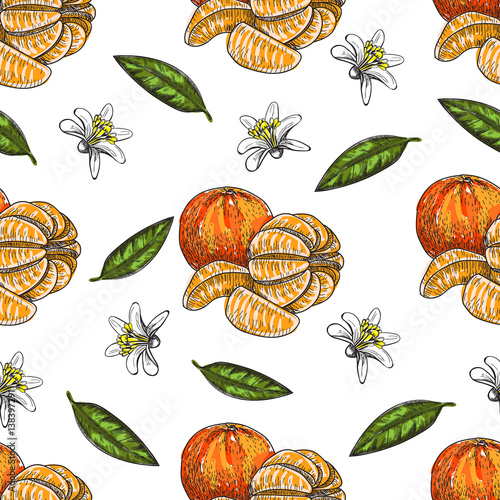 Hand made vector seamless sketch of mandarins in vintage style.