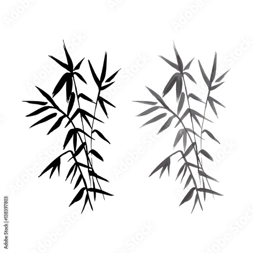 Bamboo black and grey plant isolated vector illustration