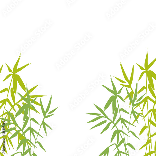 Fototapeta Naklejka Na Ścianę i Meble -  Bamboo green plant isolated vector nature illustration