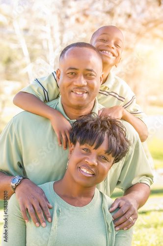 Beautiful Happy African American Family Portrait Outdoors At The Park. © Andy Dean