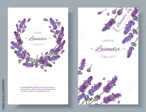 Lavender flowers banners