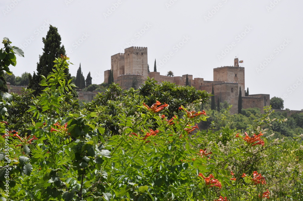 Jardines bajo la Alhambra