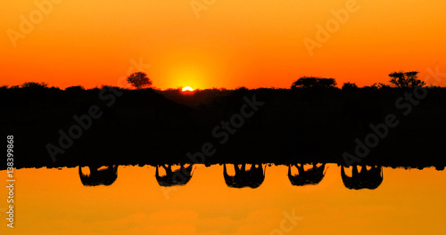 Photography Reflections silhouettes of elephant family passing waterfront of a lake