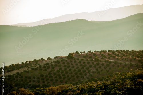 hilly and mountainous landscape
