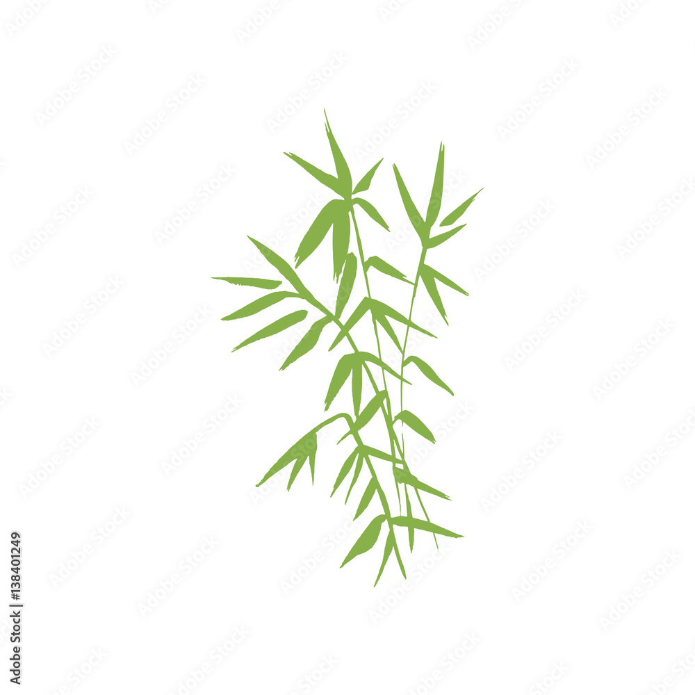 Naklejka premium Bamboo green plant isolated vector nature illustration