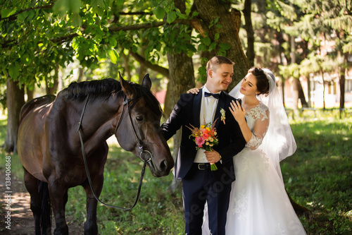 Bride and groom walking in park with horse. Wedding couple and animal