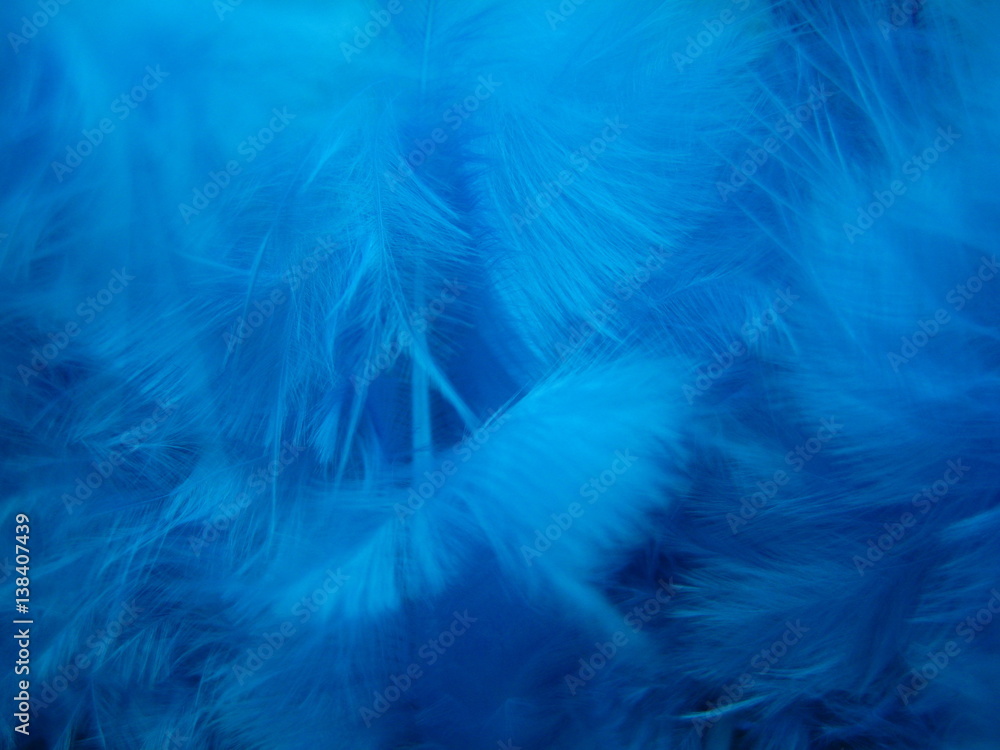 blue feathers texture blue feathers texture