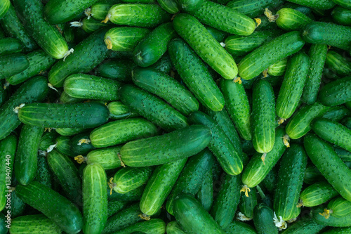 Cucumbers pattern © Дмитрий Коханов